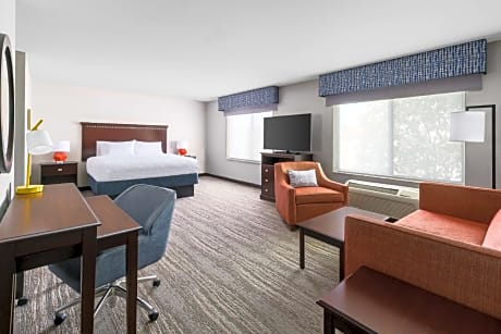 1 King Hearing Access Studio W/sofabed Ns Vis Firealrm/door/phn Alrt/sofabed / Hdtv Microwv/fridge/w