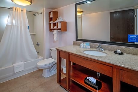 1 King Bed With Sofabed Nonsmoking