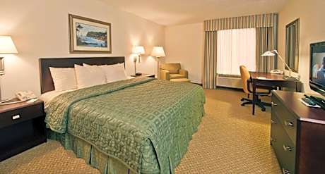 King Room with Spa Bath