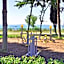 Sol Nessebar Mare - All Inclusive