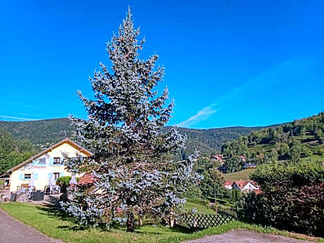 Les Sapins