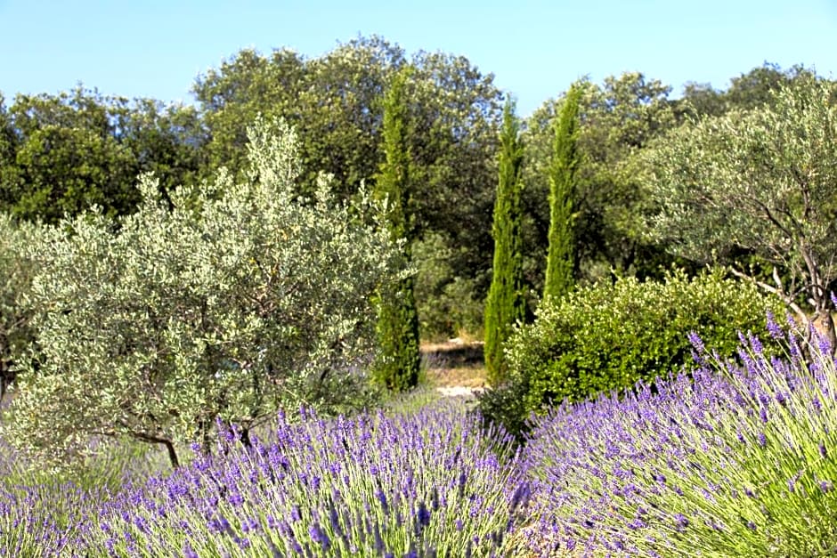 La Clé des Champs, Boutique hôtel & Spa - Le Mas de Garrigon
