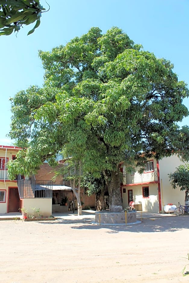 Meson La Huerta