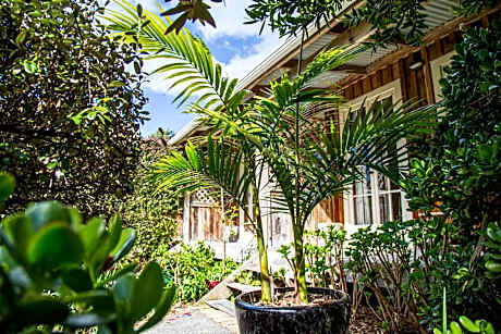 Studio with Garden View