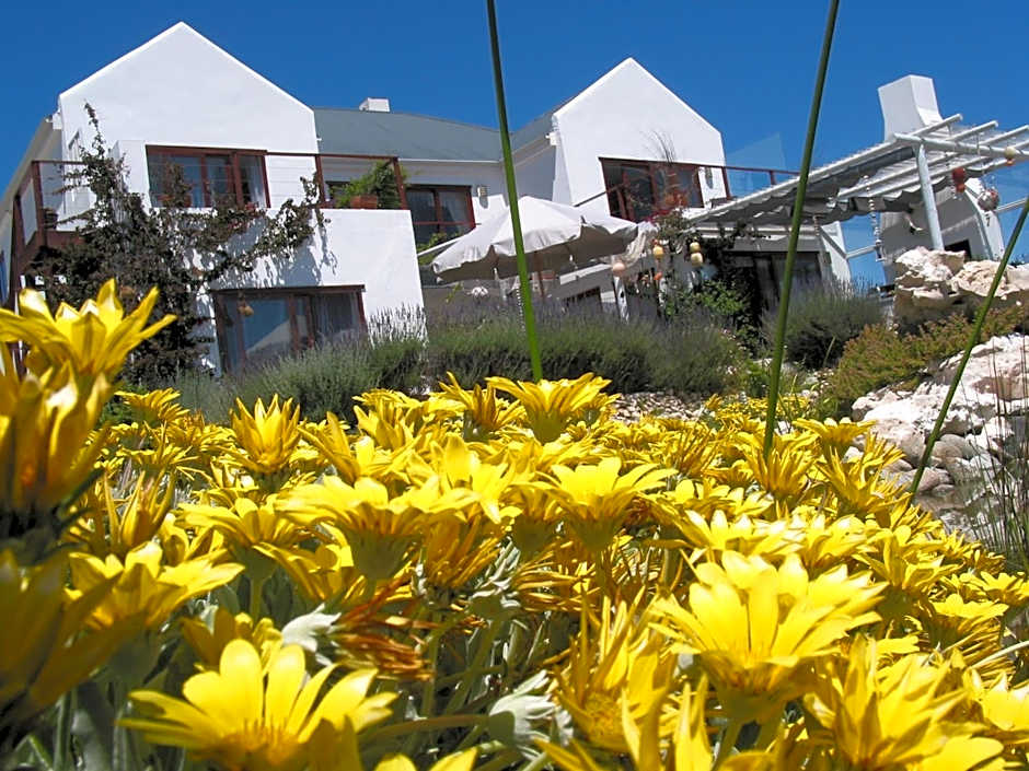 Farr Out Guest House