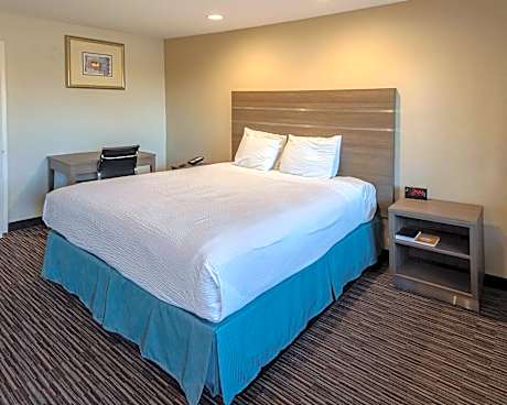 1 King Bed Nonsmoking