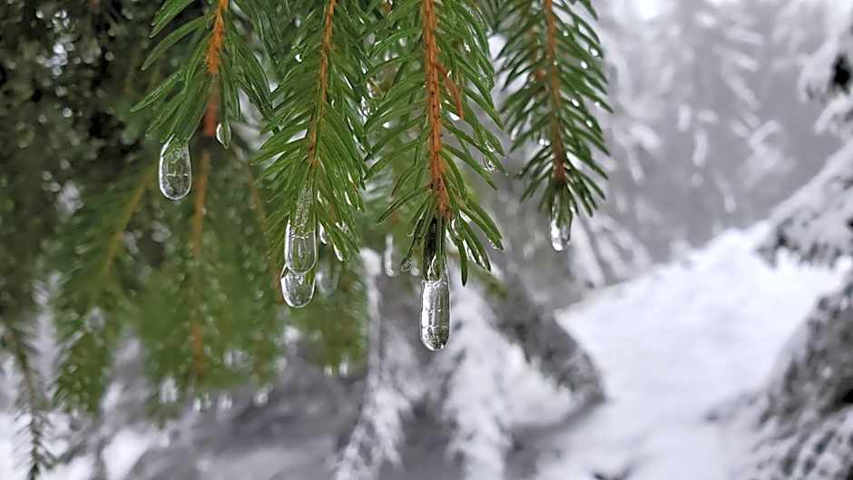 Landgasthof Steuber - Hotel garni