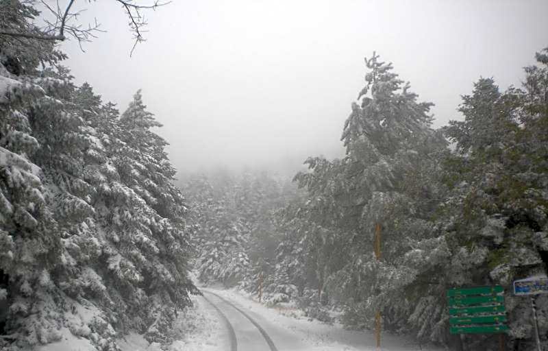 Cavallari Palace Hotel Suites