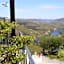 Casa Vale do Douro