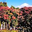 Cabinhouse Yado Fujinomiyaten