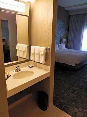 Deluxe King Room with Sofa Bed