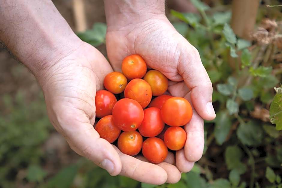 Eco Village Baia Delle Ginestre