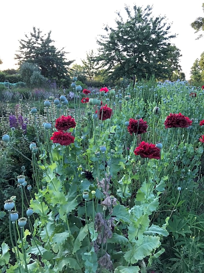 De Tuinschuur