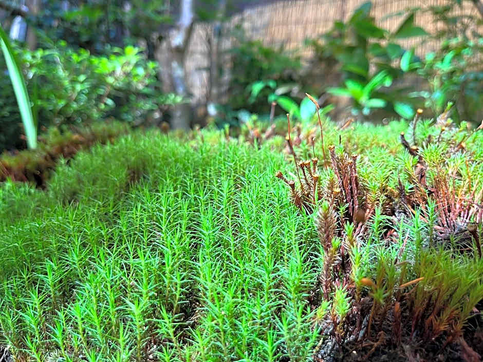 西陣之郷 NISHIJIN NO SATO "Kyoto's Best, 77 installations! 100yrs Off Grid Amazing Smart Townhouse"