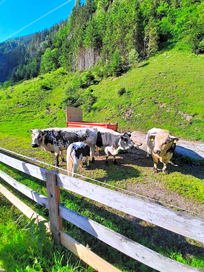 Gasthaus Häusling Alm