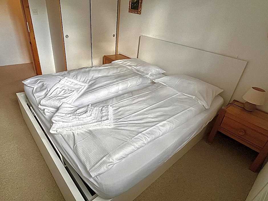 Chesa Tussilago - La Punt-Chamues-ch