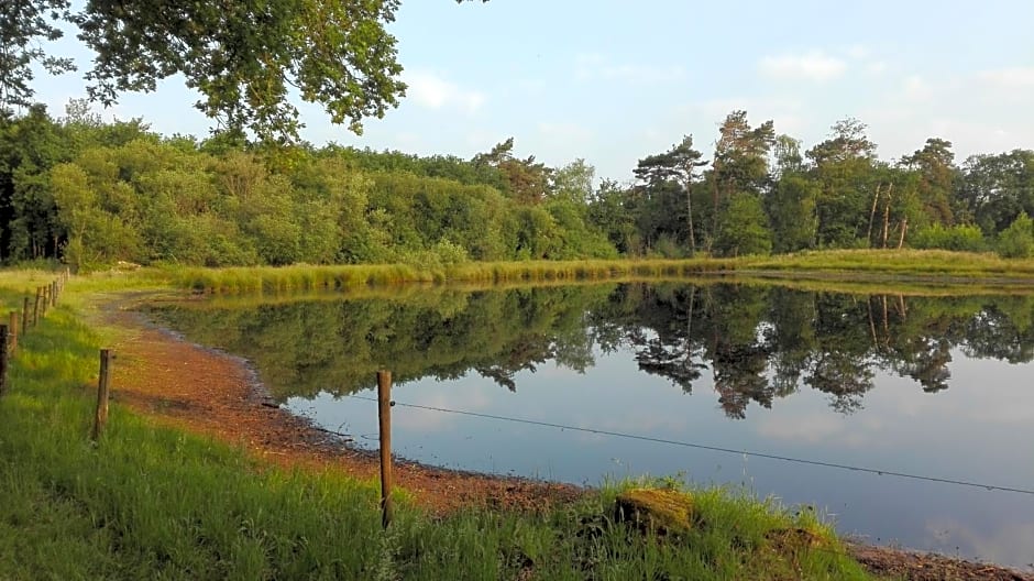 B&B De Grote Plaats