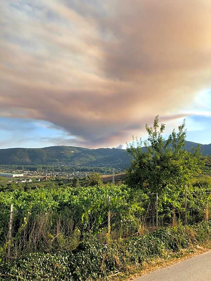 Boutique Finca esencial Hotel Rural