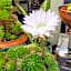 Mundaring Bed and Breakfast