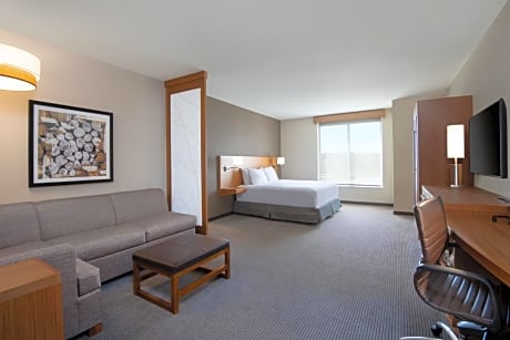 King Room with Sofa Bed and Accessible Tub - Disability Access