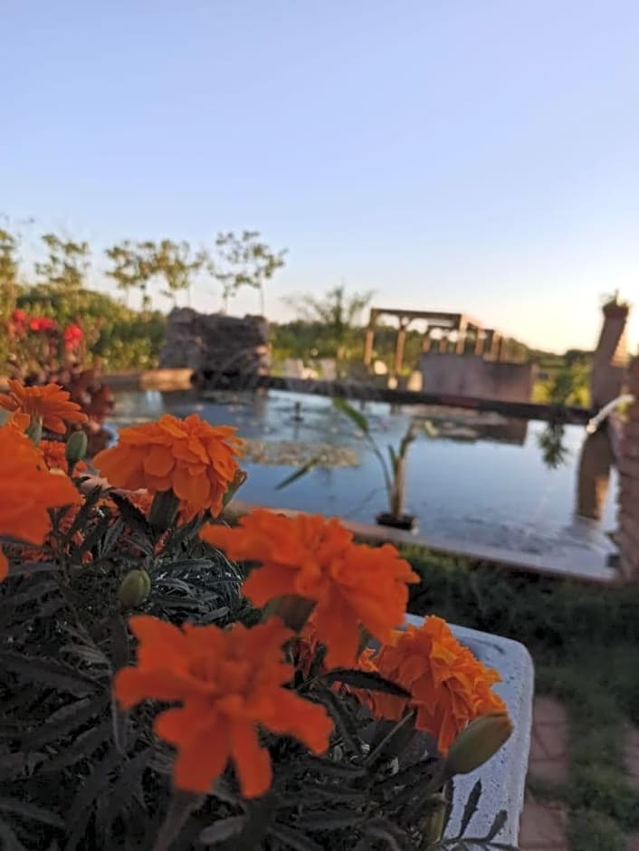 Fattoria Il Laghetto