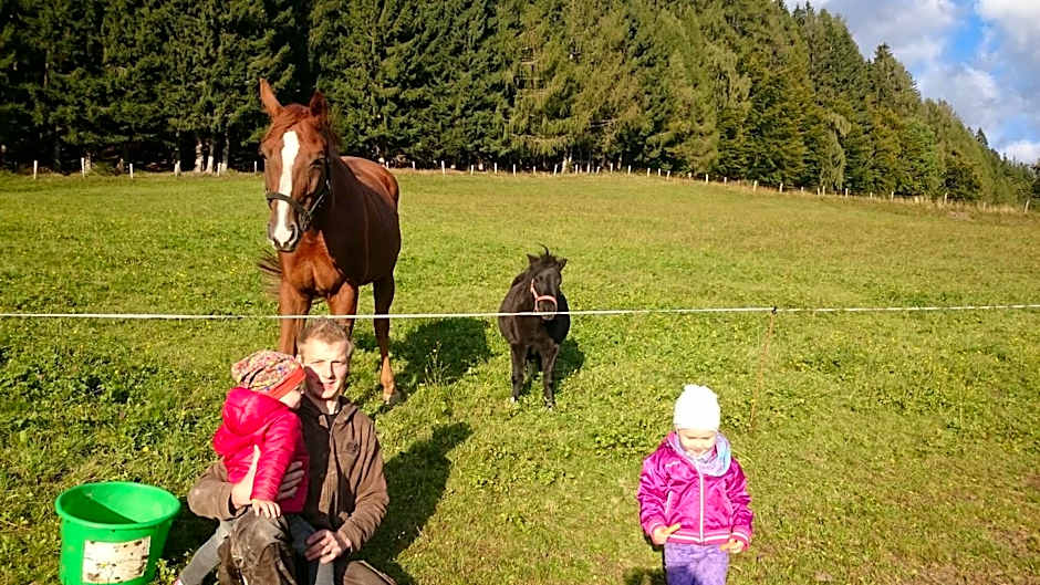 Berghotel Presslauer