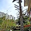 KRS Pines Hotel