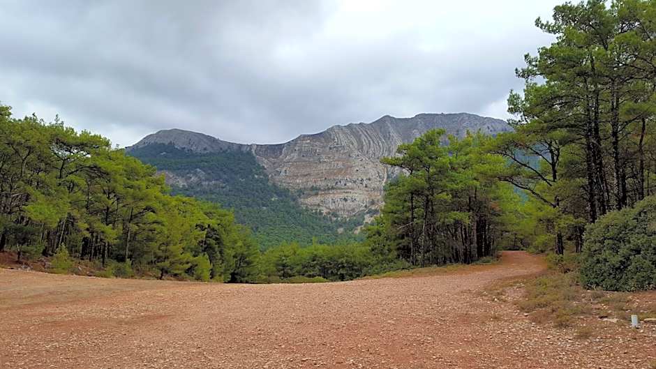 Limeri Traditional Guest House