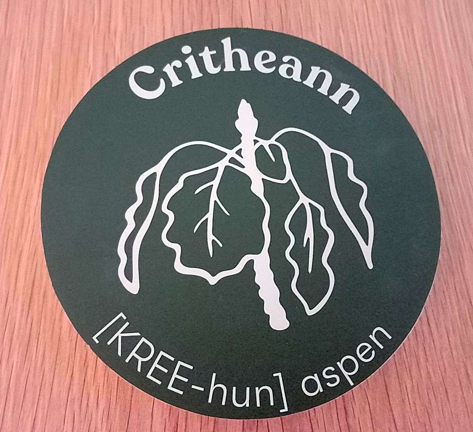 An Spiris Accommodation at Dundreggan Rewilding Centre