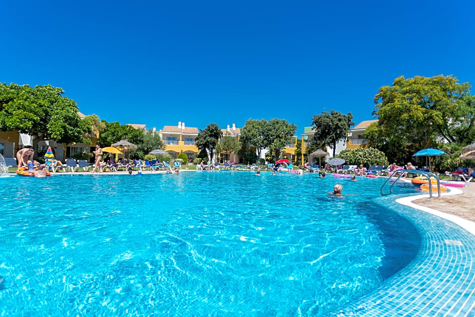 Comitas Isla del Aire