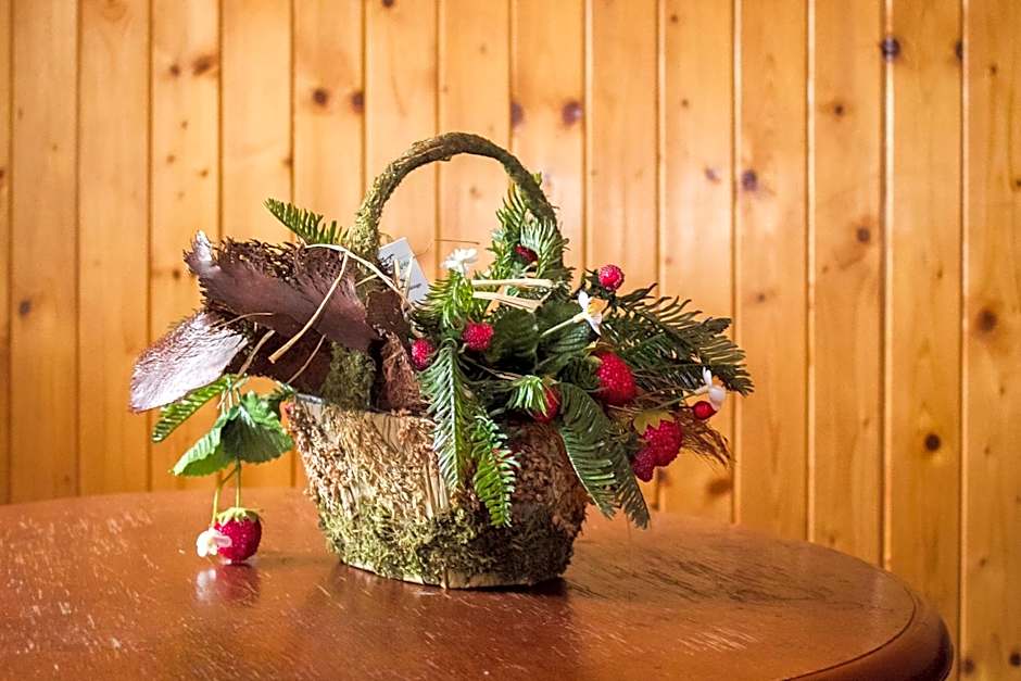 Klimatyczne Domki - Całoroczne