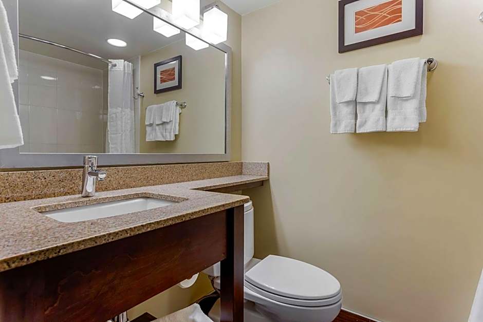 Comfort Inn Hammond I-94