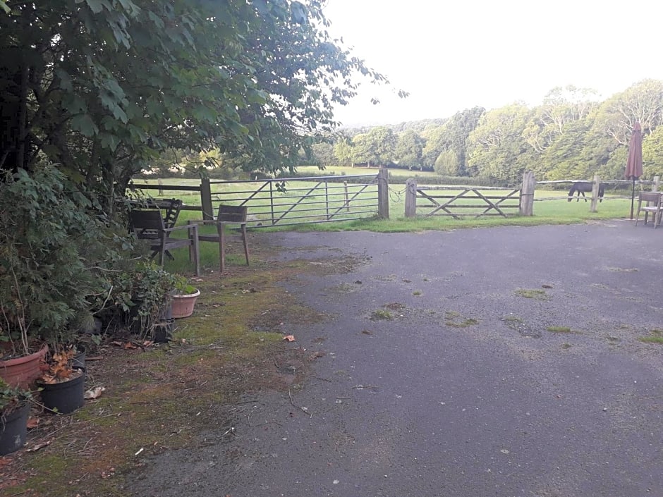 Moaps Farm B&B support small business, welcome, check in from 5 pm