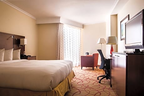 Executive Room with King or Two Double Beds