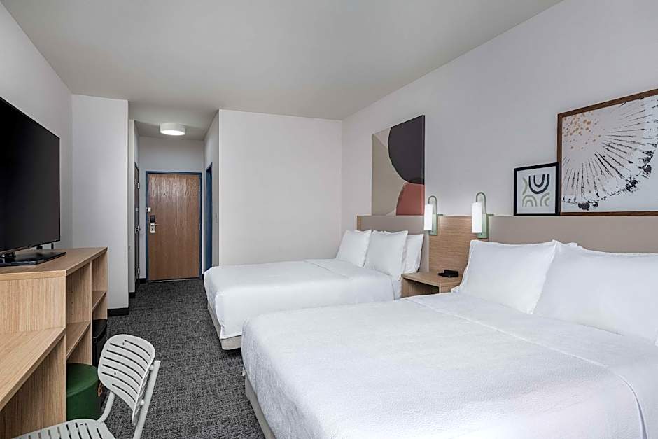 Spark by Hilton Dumas