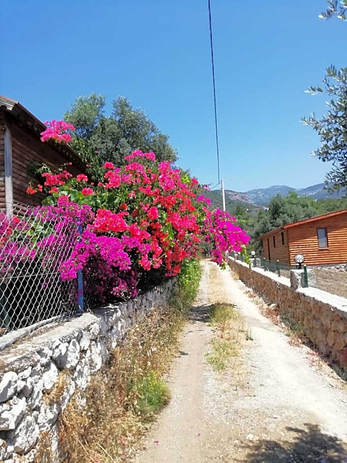 Bahar Bahce Datca