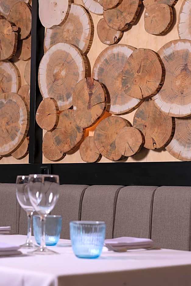 Hotel Euroski Mountain Resort & Spa