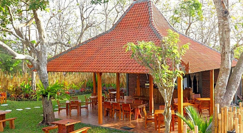 seno guesthouse and cafe