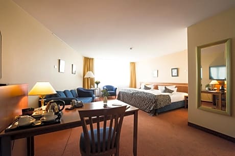 Superior Double or Twin Room (free mini-bar and free car parking)