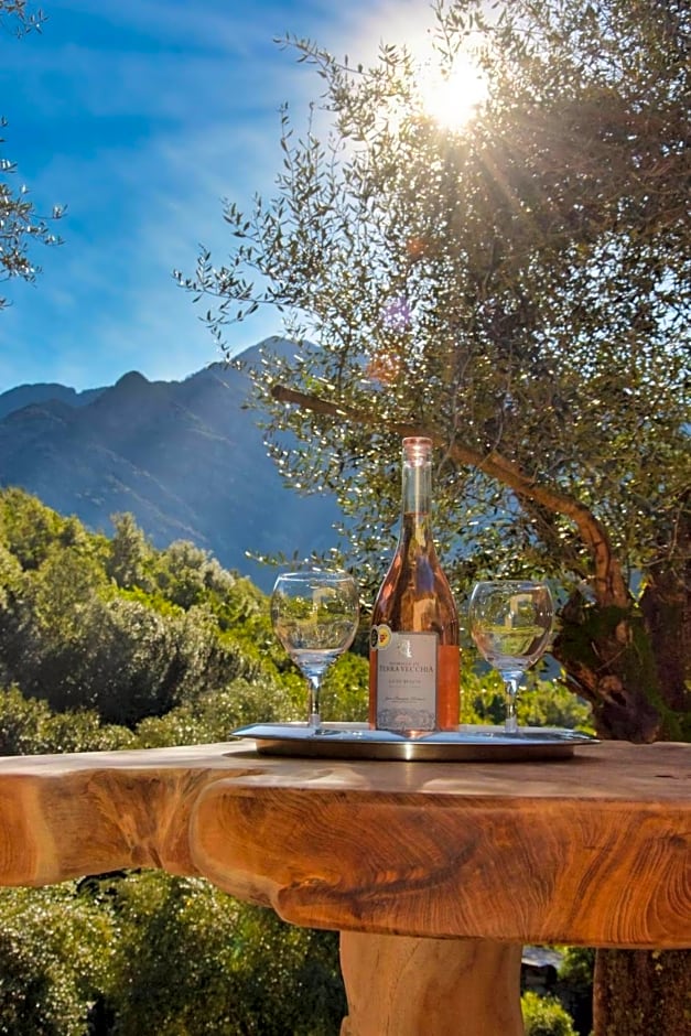 L'oliveraie du Fango