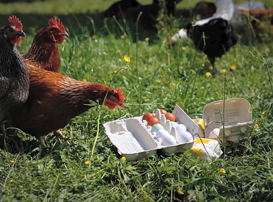 Biobauernhof Jagglhof