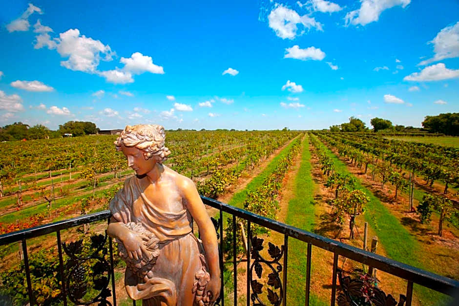 Holiday Inn Express & Suites Bryan - College Station By IHG