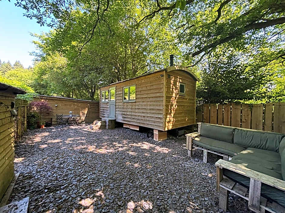 Shepherd’s delight