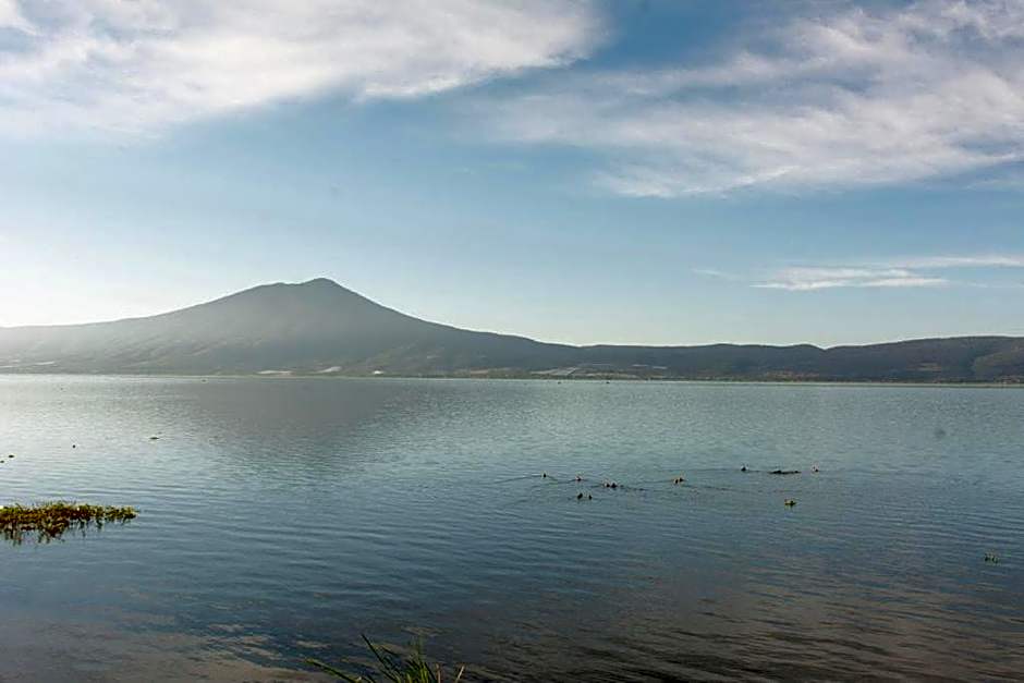 Casa Palomas Bed and Breakfast