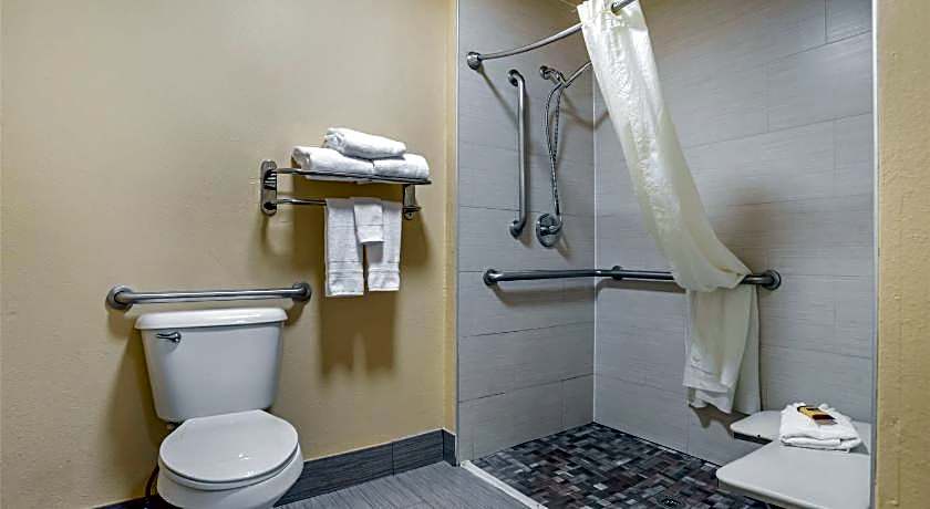 Best Western Plus Bessemer Hotel & Suites