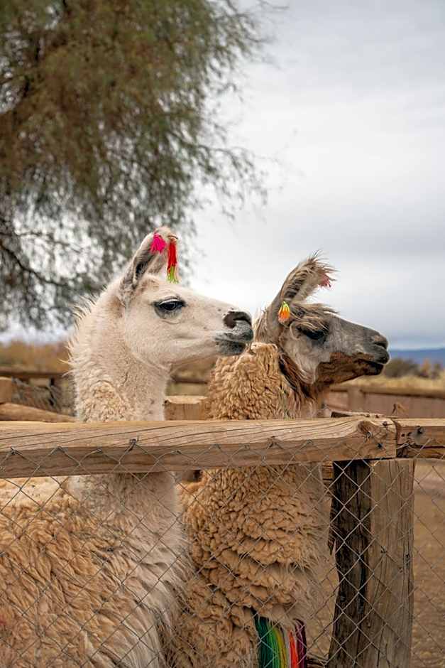 NOI Casa Atacama