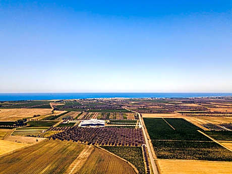 Masseria Torleanzi Wine Relais