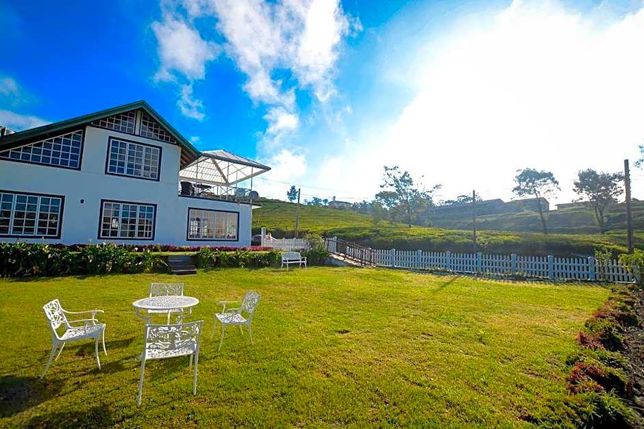 The Tea Garden
