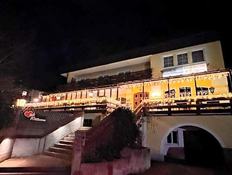 Austria Traveller Hotel Lenzing