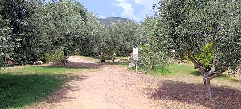 Sa Teria Village - Camere Deluxe -
